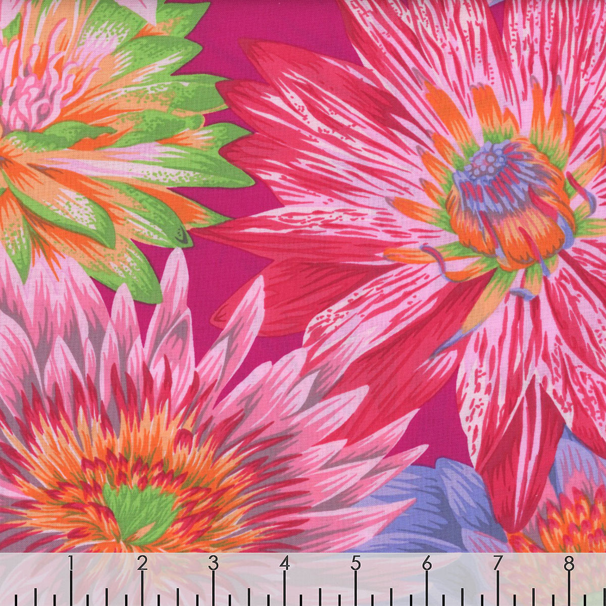 Free Spirit Fabrics Kaffe Fassett Collective August 2023 by Philip